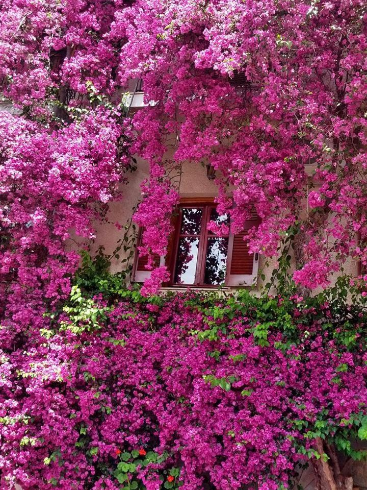 Iliolithos Rooms Kardamyli Zewnętrze zdjęcie